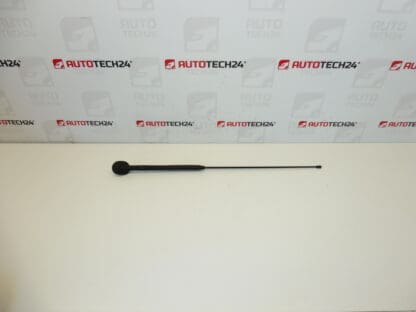 Antenne compleet Citroën C3 Pluriel 6561R7 656197