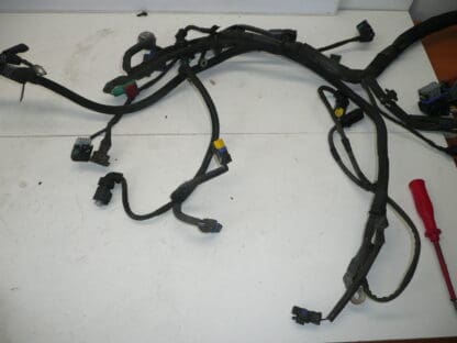 Motorkabelboom Peugeot 207 1.4i KFT 9674808180 9675247080