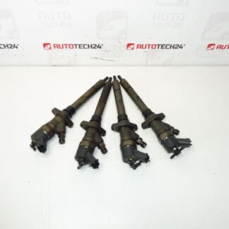 Injectieset Bosch 2.0 en 2.2 HDI 0445110036 tellerstand 182000 km