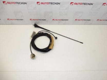 Antenne compleet Citroën Xsara Picasso 9658881880 6561A0 6561EF 6561A1