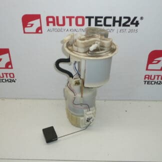 Brandstofpomp Citroën Peugeot 77020-0H010 1507A1