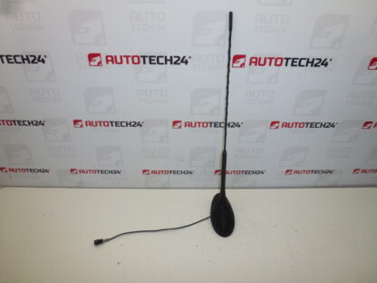 Antenne met sluitring Citroën C5 9650910980 6561Y0