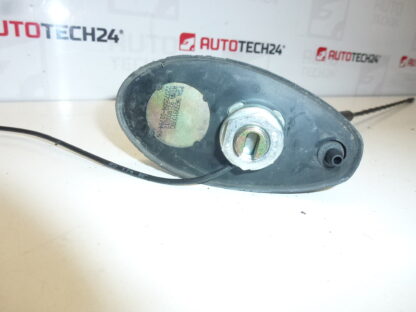 Antenne met sluitring Citroën C5 9650910980 6561Y0